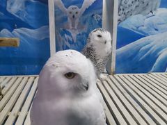 -成都浩海立方海洋公园