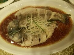 -中国饭店-餐厅