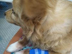 -天津前进宠物医院(前进道店)