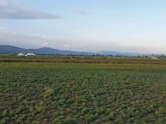 -敕勒川草原文化旅游区