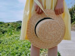 -枸杞岛