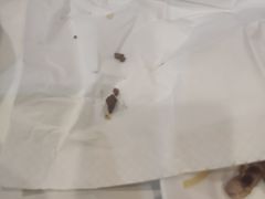 -锦水苑川菜馆(风格雅园店)