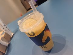 -春丽小马(济南恒隆广场店)