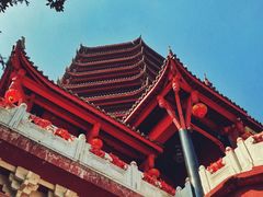 -青城山