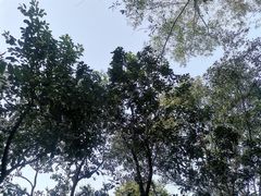 -阳台山森林公园