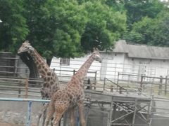 -西安秦岭野生动物园