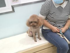 -宠福鑫康馨动物医院·骨科·眼科