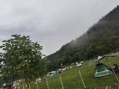 -武陵山森林公园