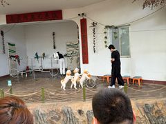 -南戴河国际娱乐中心