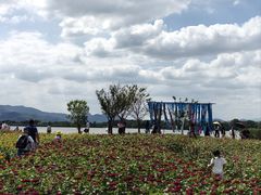 -下渚湖国家湿地公园科普馆