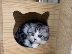 -居丽装饰空间设计(总部)