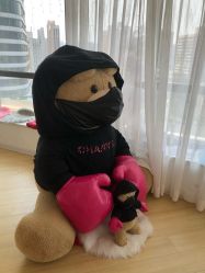 -E.L.K造型momopark店