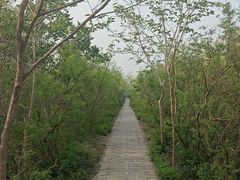 -元大都城垣遗址公园