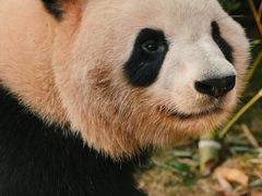 -杭州动物园