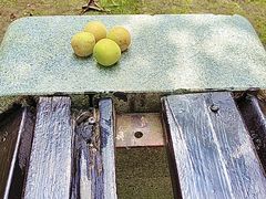 -梅花山(明孝陵内)