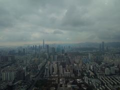 -瑞吉酒店·The Drawing Room闲逸廊·云端下午茶·夜奢Whiskey