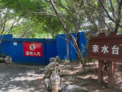 -塘沽森林公园