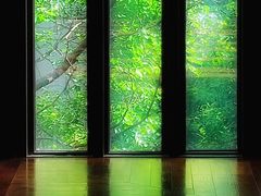 -上海崇明金茂凯悦酒店