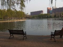 -泰丰公园