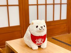 -豆柴町-柴犬主题狗咖(红鼎国际C座店)