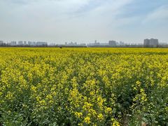 -汉长安城未央宫国家考古遗址公园