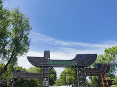 -溱湖国家湿地公园