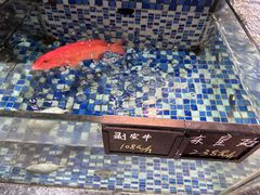 -晶莹品鲜.顺德鱼生.特色桑拿菜