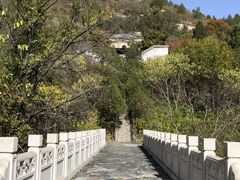 -白水寺森林公园