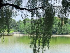 -东莞植物园