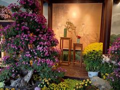 -杭州植物园