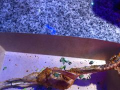 -蛙来哒(金沙洲万达店)