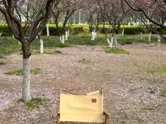 -白塘生态植物园