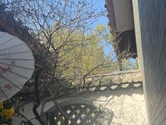 -常德桃花源景区