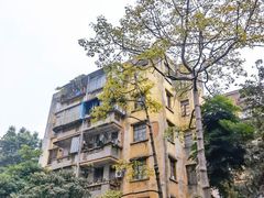 -修记牛杂店(同华东一路店)