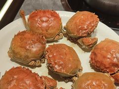 -鼎香缘海鲜自助火锅烤肉(锦辉购物广场店)