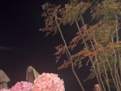 -悦吧·360°全景天台酒吧(象山店)