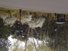 iphone_upload_pic-钓鱼台国宾馆
