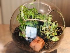 -北京三里屯CHAO酒店