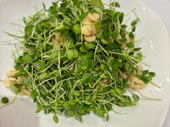 -金三杯酒家(泉城路店)