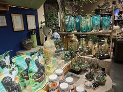 -弗劳尔花艺坊(龙涛店)