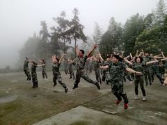 -铁山坪森林公园