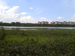 -华侨城湿地公园
