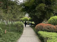 -龙头寺公园