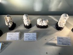 -上海市工艺美术博物馆