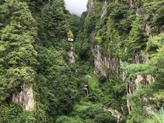 -苍山感通索道