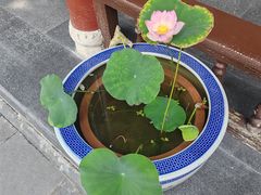 -万寿八仙宫