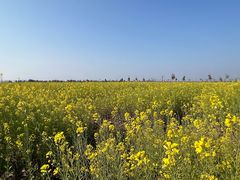 -漩门湾国家湿地公园