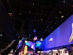 -贝林大翅鲸简餐厅(国家海洋博物馆店)