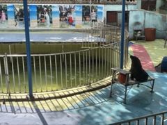 -昆明动物园