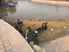 -华谊兄弟（长沙）电影小镇